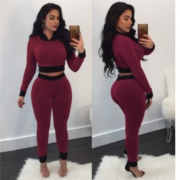 2019 Winter Autumn Sweat Suits for Women Two Piece Set Hooded Long Sleeve Crop Top and Skinny Pants Casual Women's Tracksuits